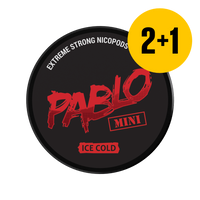 Pablo ice cold MINI 14 g